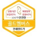 골드카 이미지