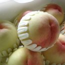 이종태농장 이미지