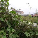 봉방동사무소 이미지