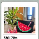 발달장애인평생학습관 | 찾아가는 그림책원예수업/수박수영장/수경식물심기/군산시발달장애인평생학습관 마음쉼 원예프로그램