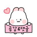 애견종합할인마트 이미지
