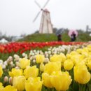 산수유동물병원 이미지