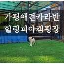 메이 더 카라반 | 가평힐링피아풀카라반글램핑 애견펜션 방문후기