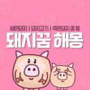 돼지의꿈 이미지