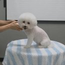 올리스(위례) 이미지