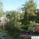 물안개피는 강가펜션 이미지