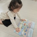 그림과 이야기가 있는 어린이 클래식 | 광주 어린이서점 추천 아람북스 리리의이야기숲 솔직후기