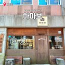 제주도 여행 선물 부모님 디저트 선물세트 하마보 찐빵 특산물