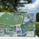 갈멜 왕실의 민박 이미지