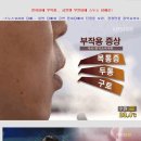 건강담배 스누스
