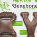 덴탈메이플 이미지