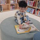 수풀작은도서관 이미지