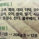바이오비트