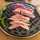 명랑집 이미지