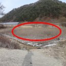 인제04-1 이미지