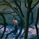 수레바퀴 이미지