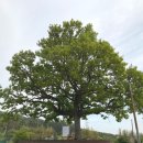 금정이야기 이미지