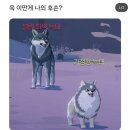 하치이야기 | 5월 일을 제가 어 떻 게 기억하냐고요