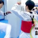 푸르른 태권도장 이미지