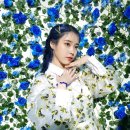 아이유 'Blueming', 6개 음원 차트 1위 기염(26일 오전 11시 기준) 이미지