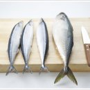 생선 - 관악구 남부순환로 1739-8 | 생선