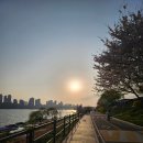 연지민물매운탕 이미지