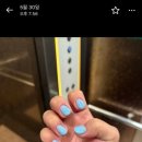 네일바이주