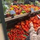 블루민박 | 파리 15구 한인민박 블루에펠, 루브르박물관 공인 가이드 후기