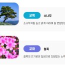 여도초등학교 이미지