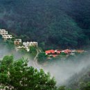 힐리언스 이미지