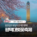 평택대학교(학생관) | 2026 평택대 벚꽃축제 일정, 먹거리, 주차 정보 총정리