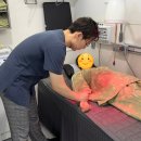 일등한의원 이미지