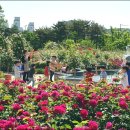 광주시청 이미지