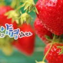 청운농촌체험마을 네이버블로그