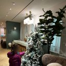 티엘씨청담의원 이미지