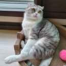 행복반찬 이미지