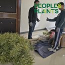 더플랜트경산