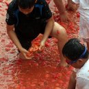 황금진연합의원 이미지