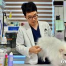 우리펫동물병원 이미지