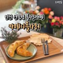 카페디플라워