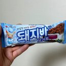 롯데웰푸드주식회사천안공장 | 롯데 아이스크림 돼지바 신상 요거트 저당으로 더 가벼운 느낌