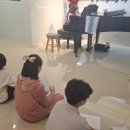 피아노치는고양이학원