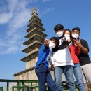 충주 제천 가볼만한곳 여행지 7곳 (중앙탑사적공원 탄금대 활옥동굴 청풍문화재단지 의림지) 중부내륙...