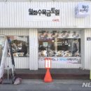 월화수목금토일cafe