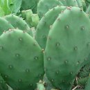 주덕농장 이미지