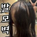 박승철위그스튜디오분당 | 발모벽 가발 후기, 박승철 위그 스투디오 전체가발로 웨딩 촬영까지