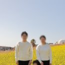 유채와바다 | 2월 제주 가족 여행 코스, 산방산 유채꽃과 바다를 한 번에 담는 소색채본 가족 스냅 후기