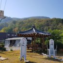 신동아양봉산업 이미지