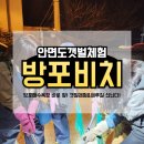 방포비치 이미지