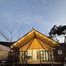 청도 | 청도글램핑 후기 내돈내산 청도 감성숙소